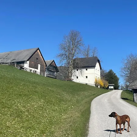 Zamsegg Vordertambergau