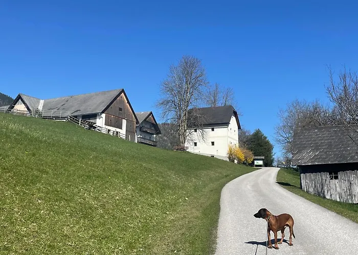 Zamsegg Vordertambergau