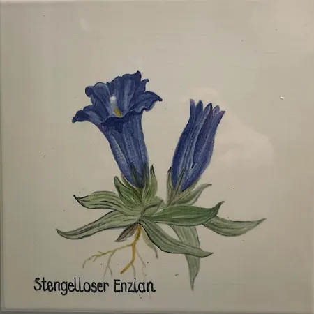 Zamsegg * Vordertambergau