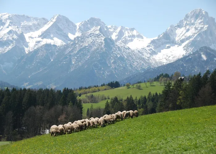 Zamsegg * Vordertambergau